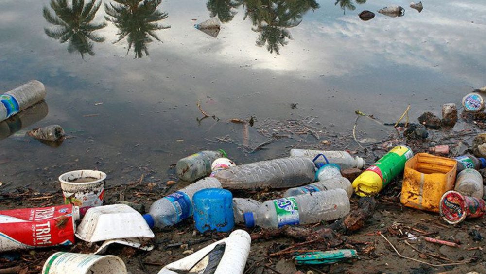 Excesso De Plástico Ameaça Vida Nos Oceanos Notibras 6631